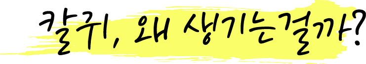 칼귀, 왜 생기는걸까?